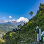 2024-10 - Népal - J04 - De Tolka à Ghandruk - 042